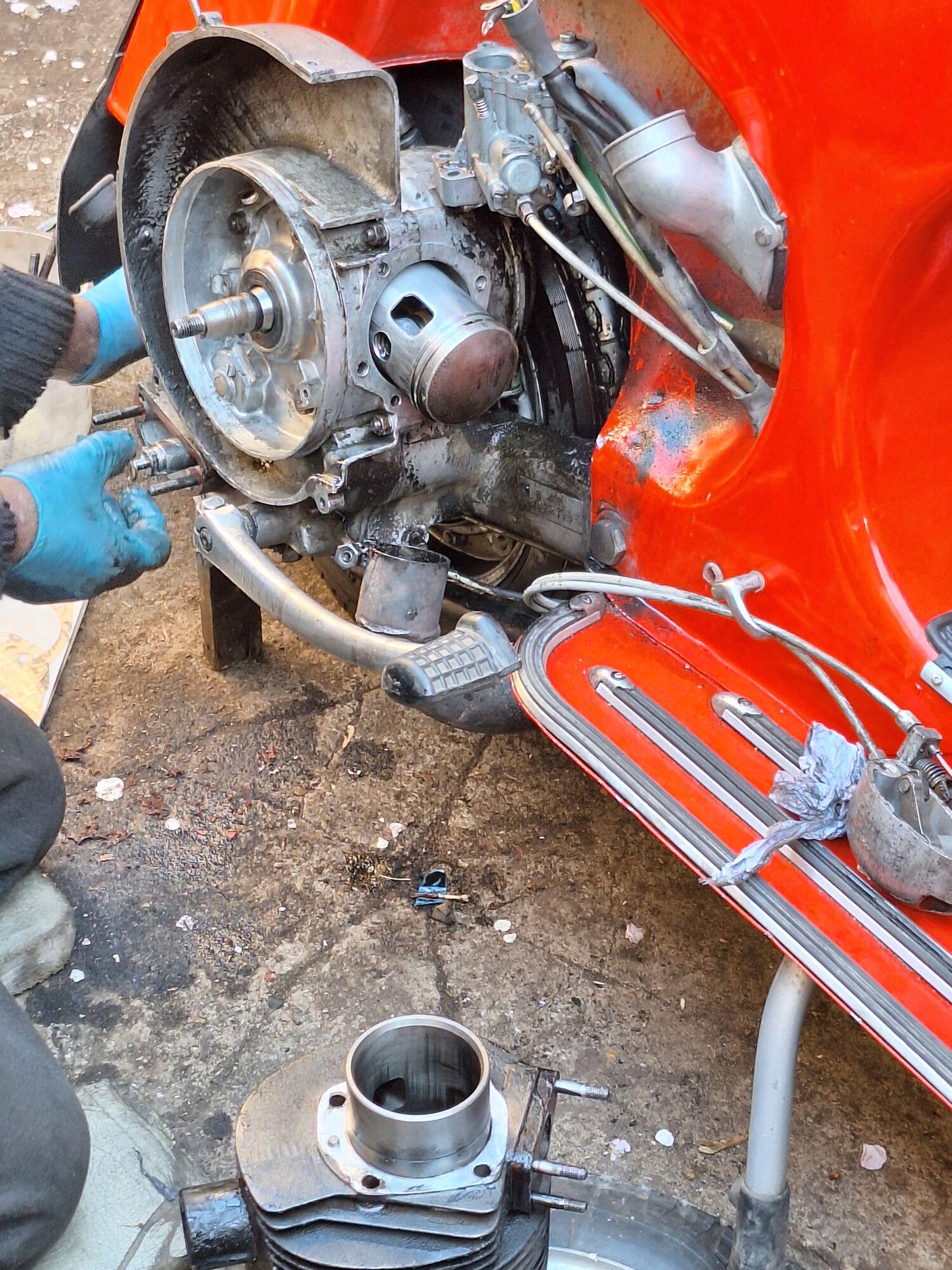 Forum member supplied image with no explanatory text