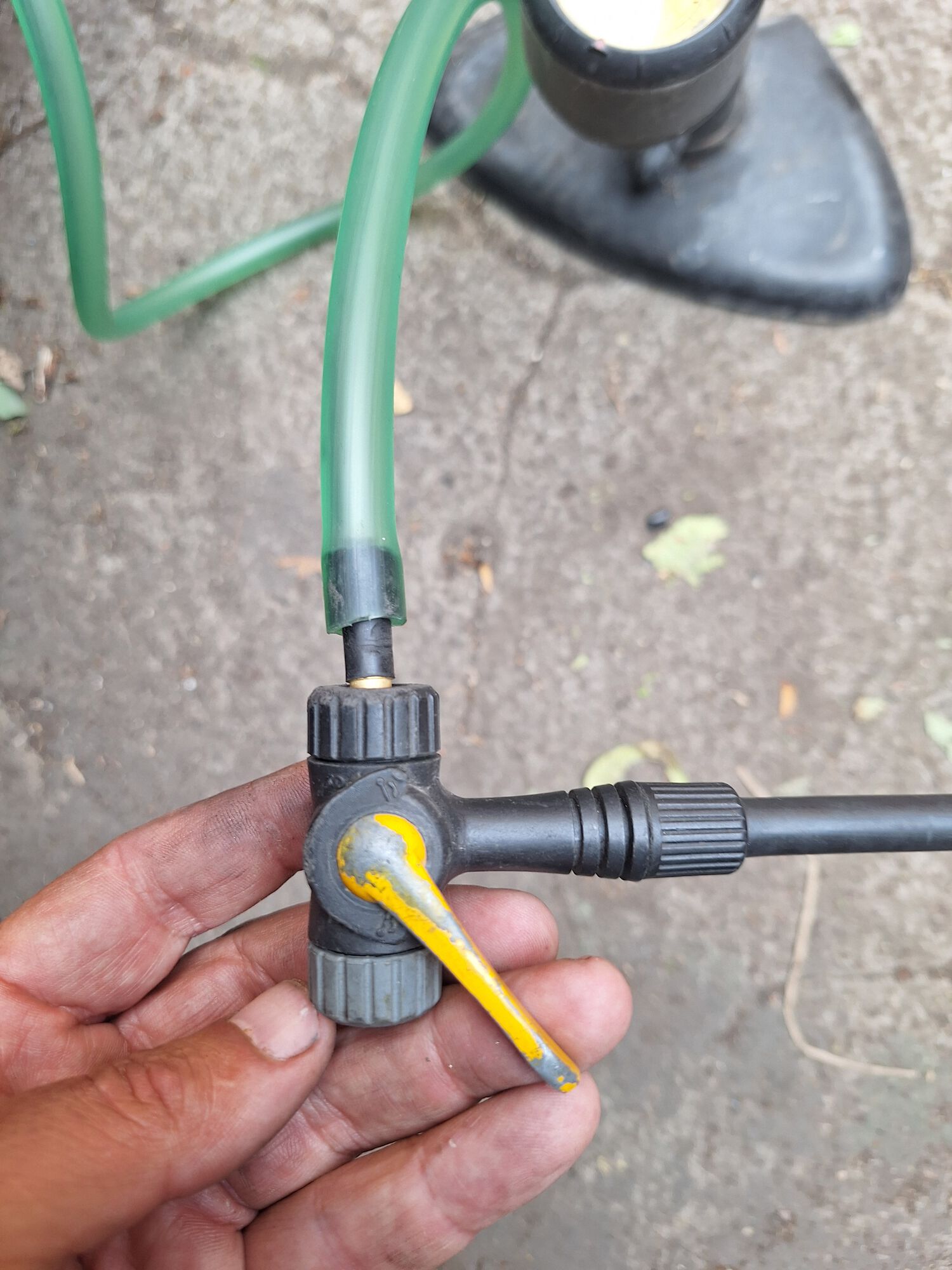 Forum member supplied image with no explanatory text