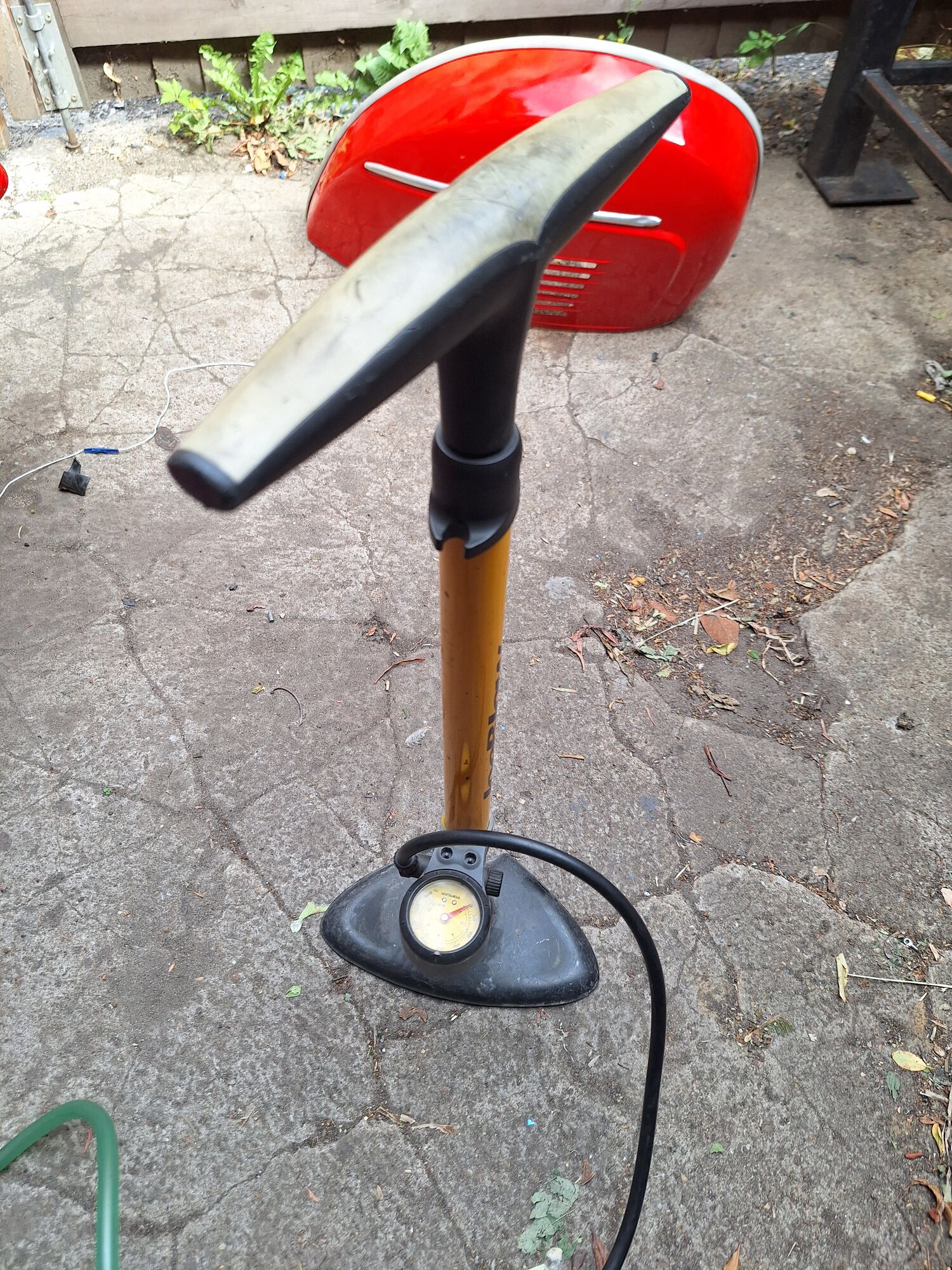 Forum member supplied image with no explanatory text