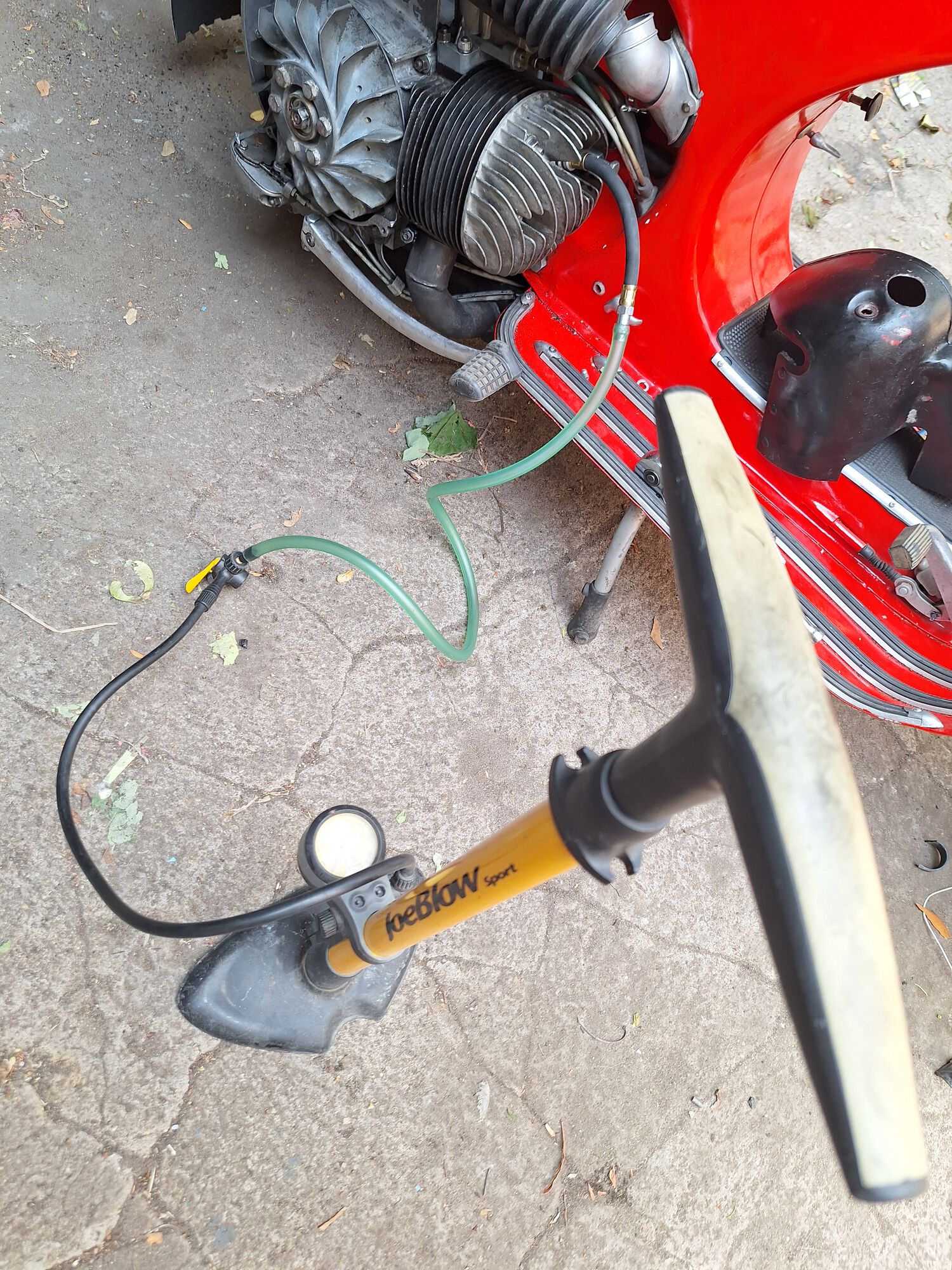Forum member supplied image with no explanatory text