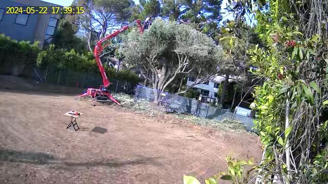 That would be me up in the tree trimming away. CM SISSOR HANDS.