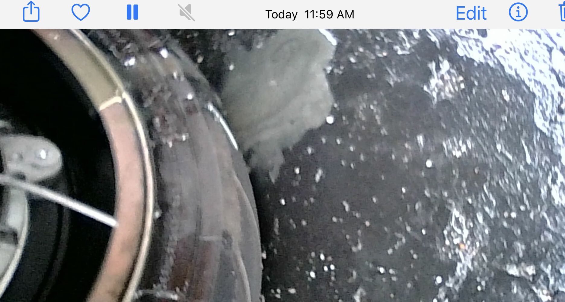 Forum member supplied image with no explanatory text
