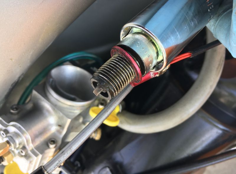 Forum member supplied image with no explanatory text