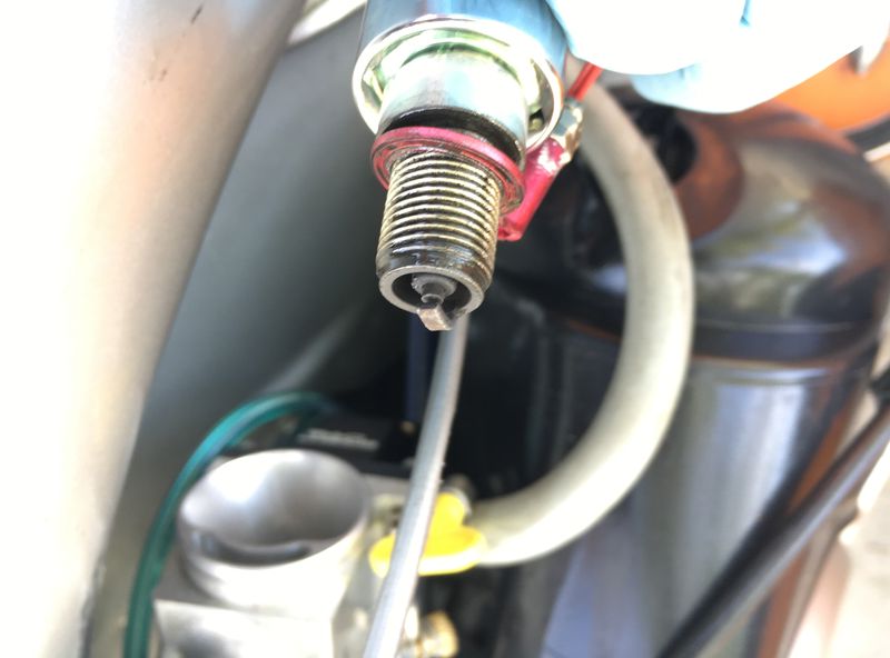 Forum member supplied image with no explanatory text