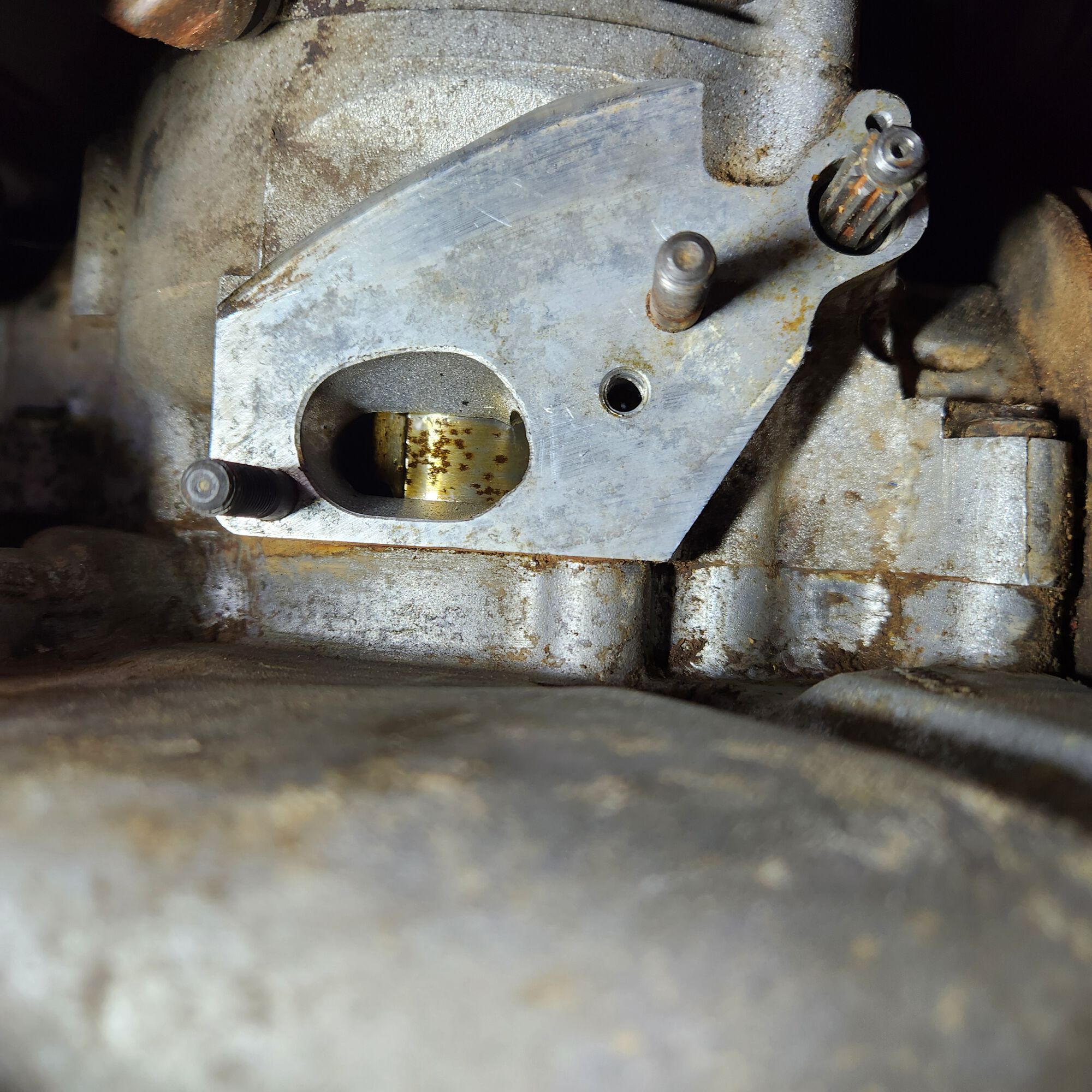 Forum member supplied image with no explanatory text