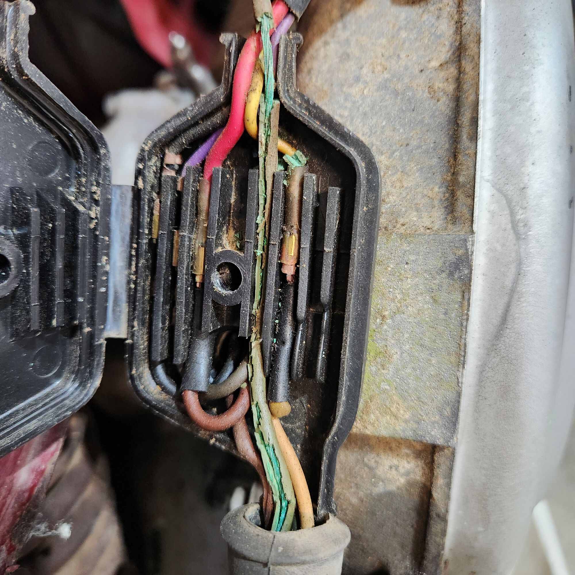 Forum member supplied image with no explanatory text