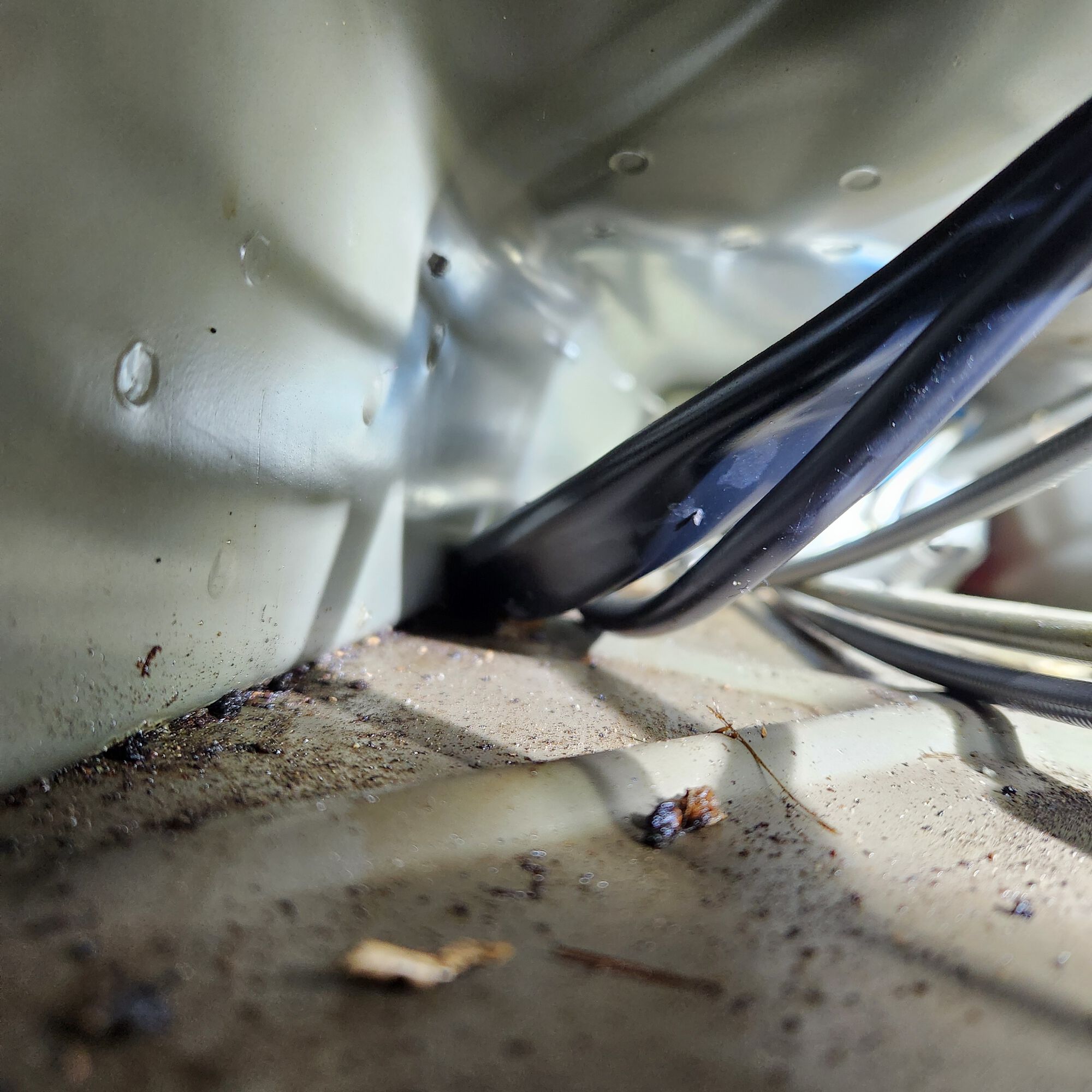 Forum member supplied image with no explanatory text