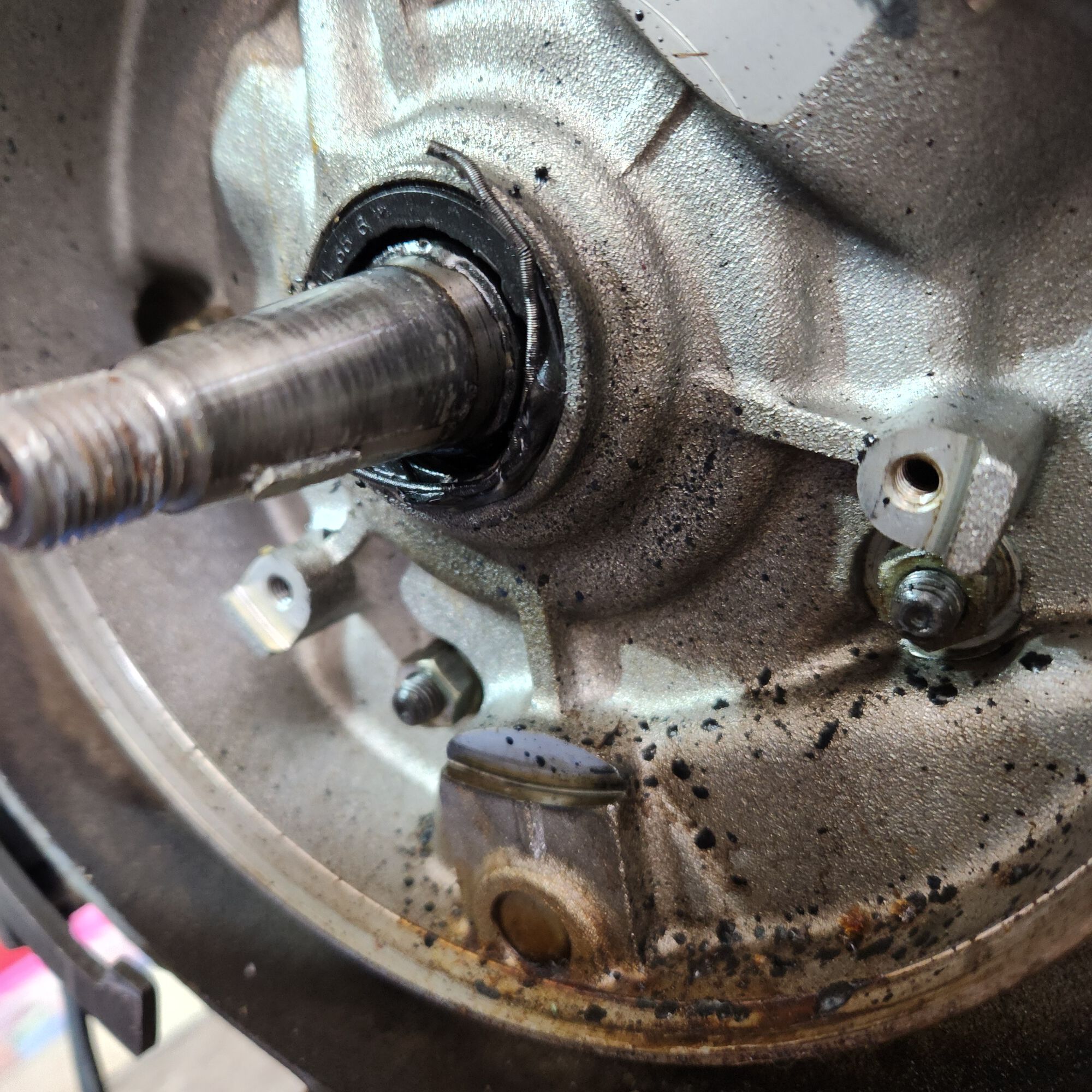 Forum member supplied image with no explanatory text