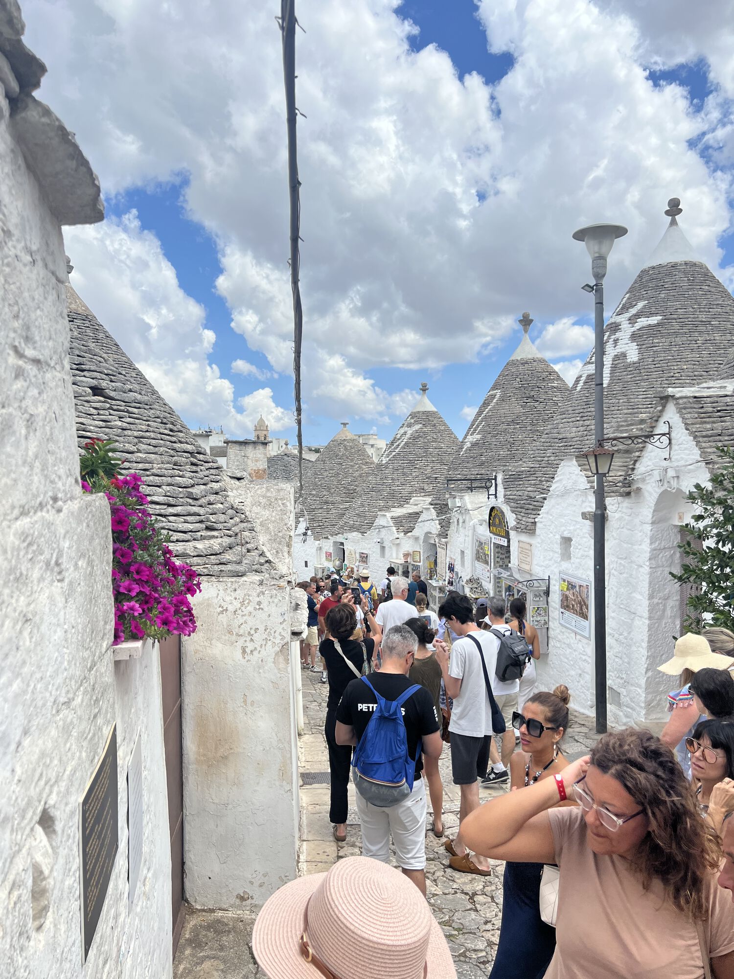 Forum member supplied image with no explanatory text