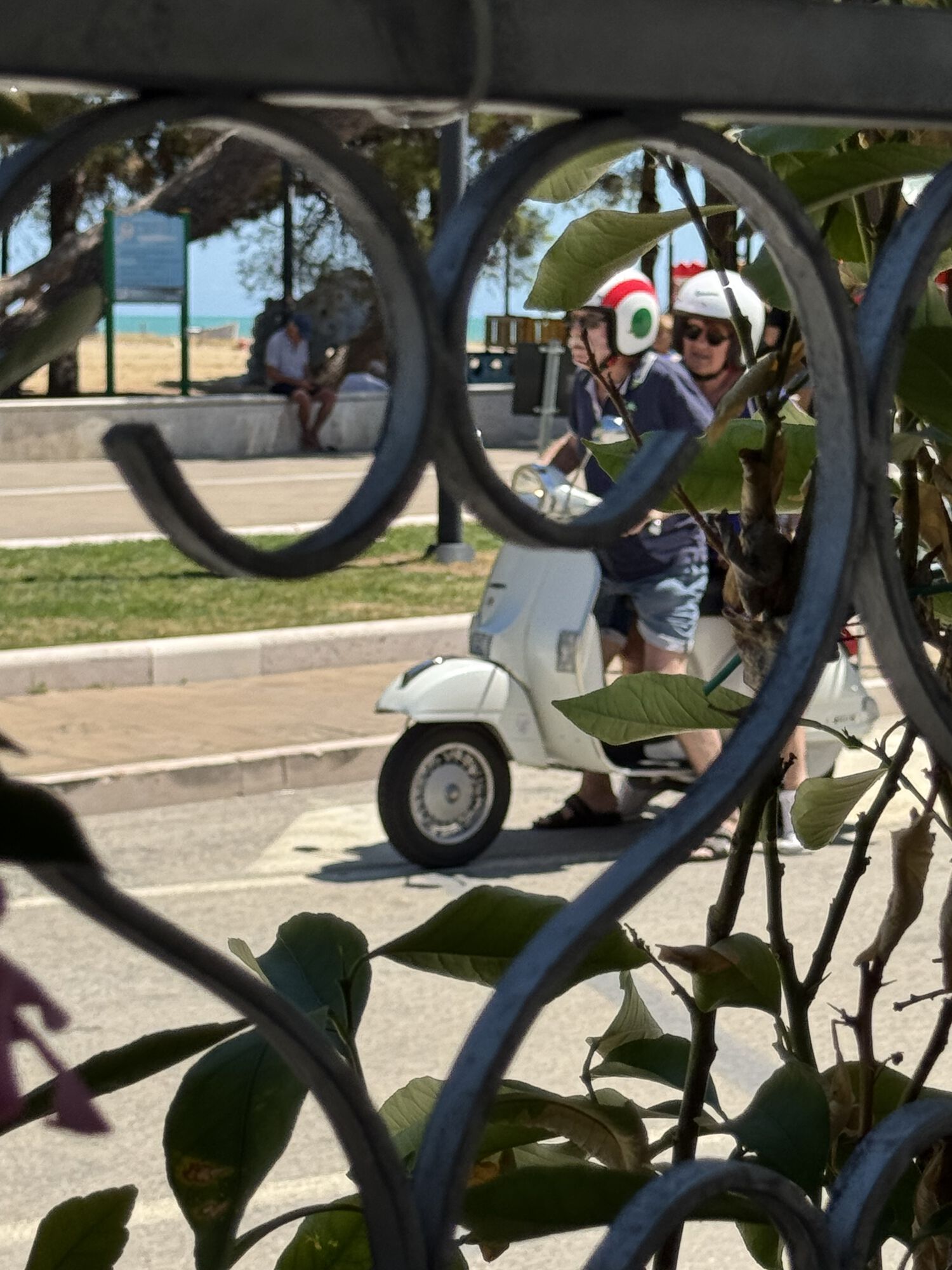 Forum member supplied image with no explanatory text