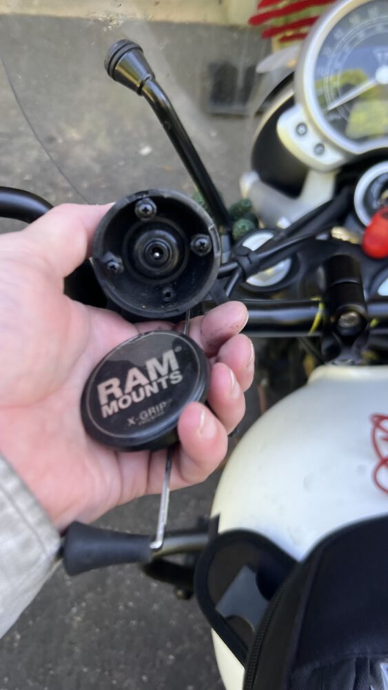 POP goes the weasel!