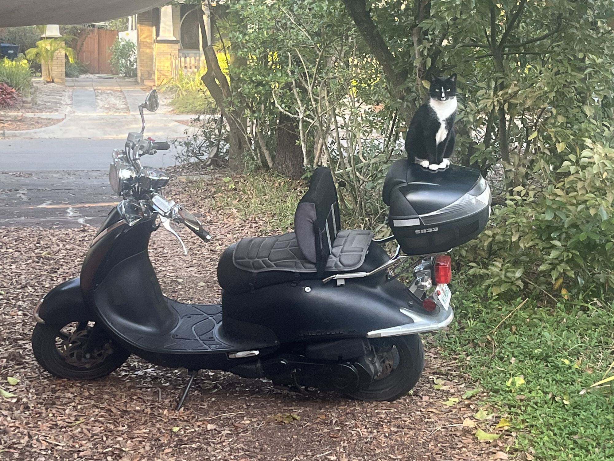 Forum member supplied image with no explanatory text