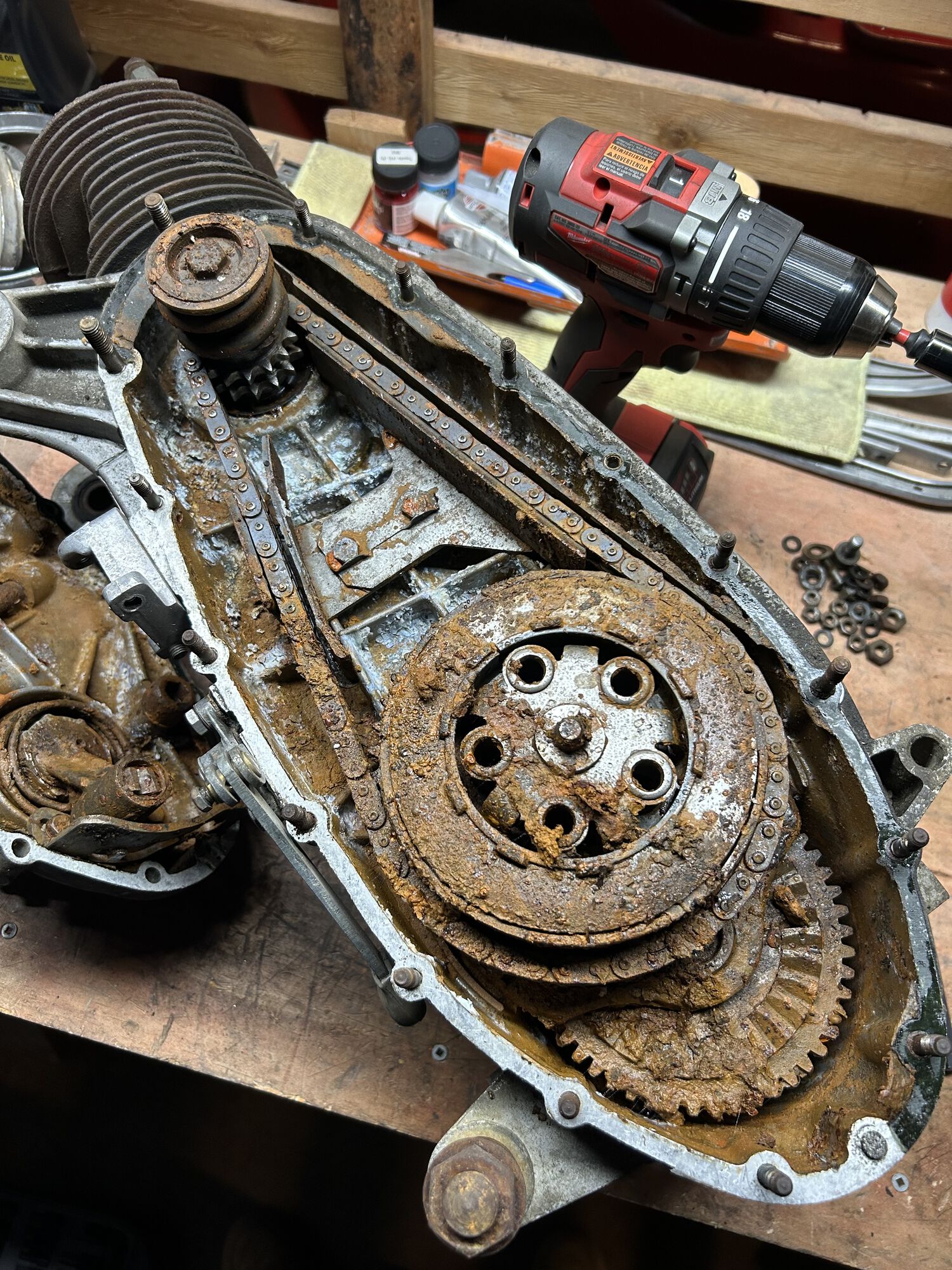 Forum member supplied image with no explanatory text