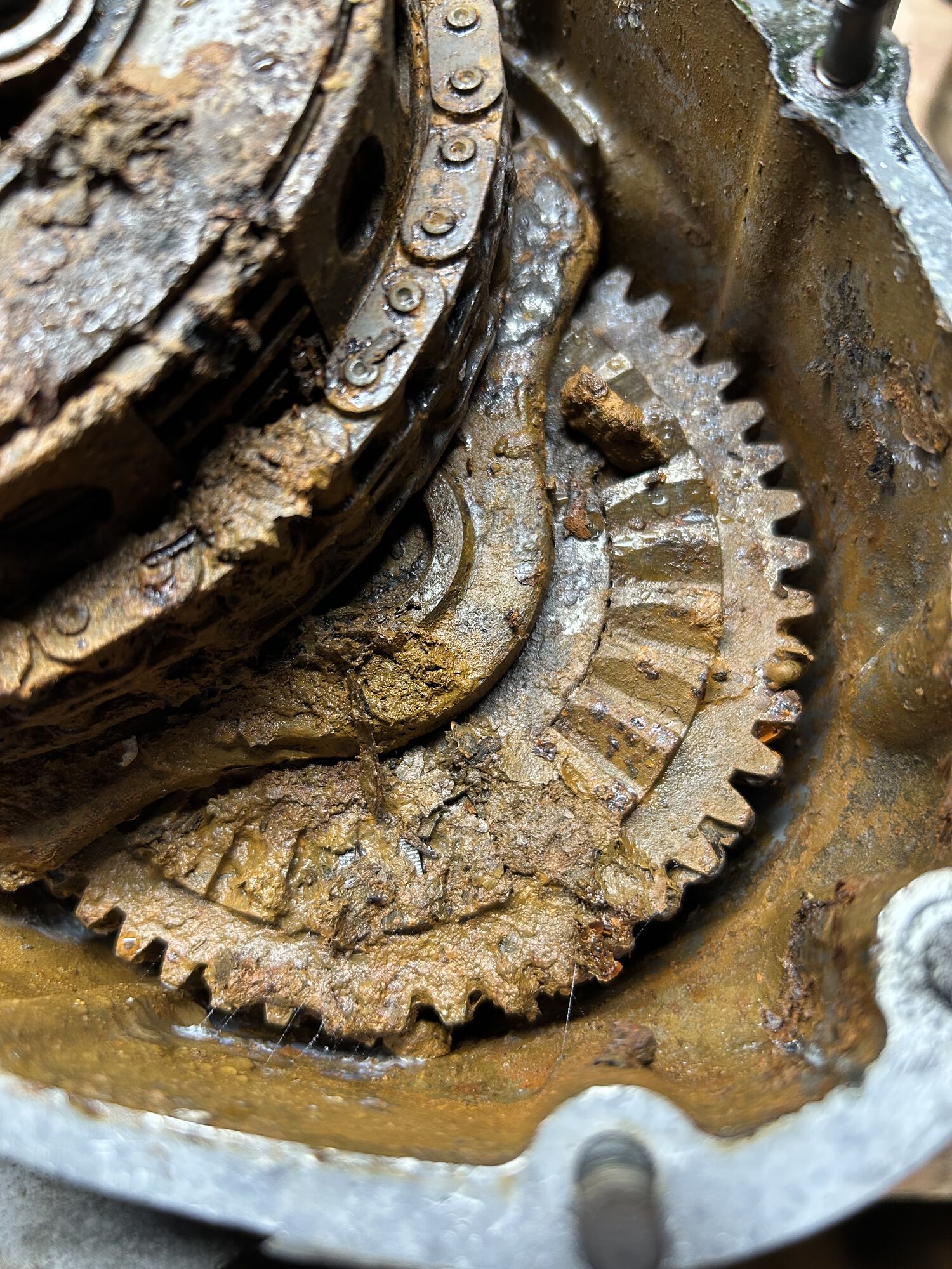 Forum member supplied image with no explanatory text