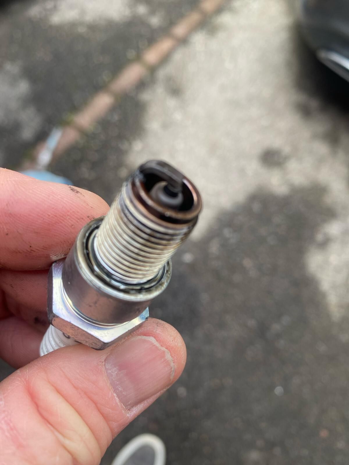 Forum member supplied image with no explanatory text