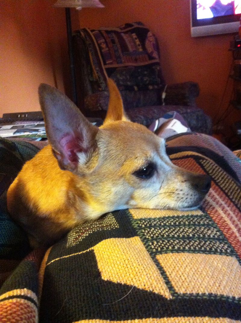 Bella