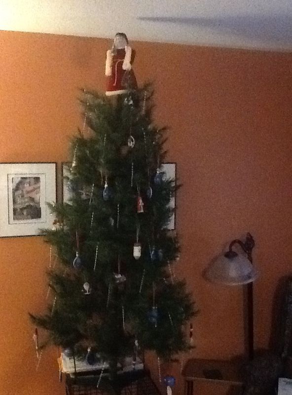 One tree, no lights,