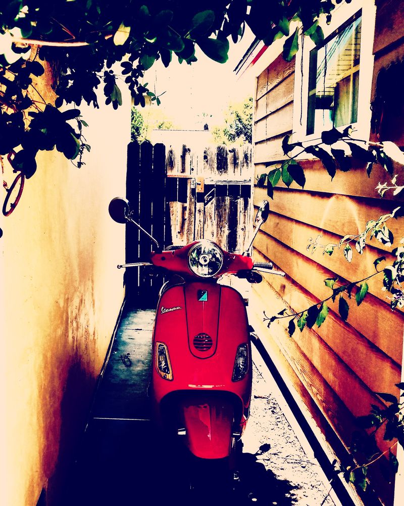 Forum member supplied image with no explanatory text