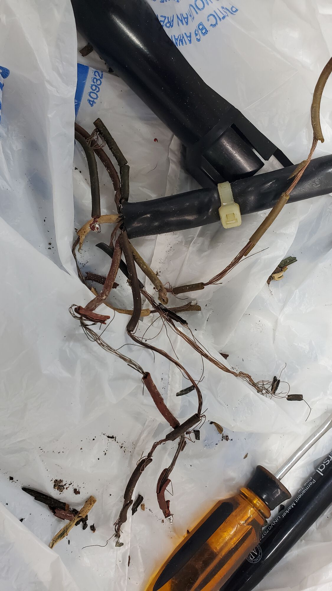 Forum member supplied image with no explanatory text