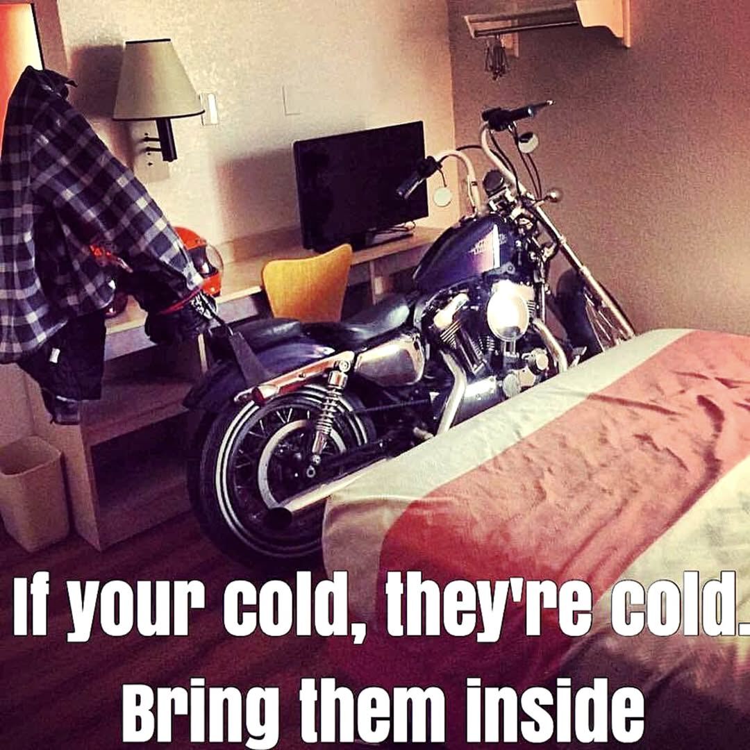 Forum member supplied image with no explanatory text