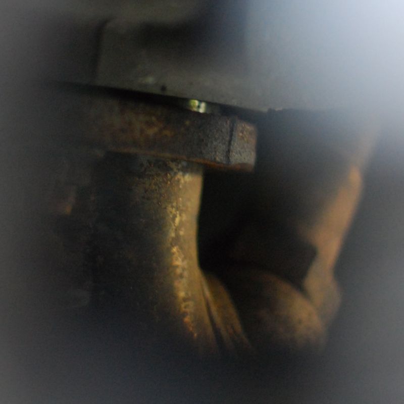 Forum member supplied image with no explanatory text