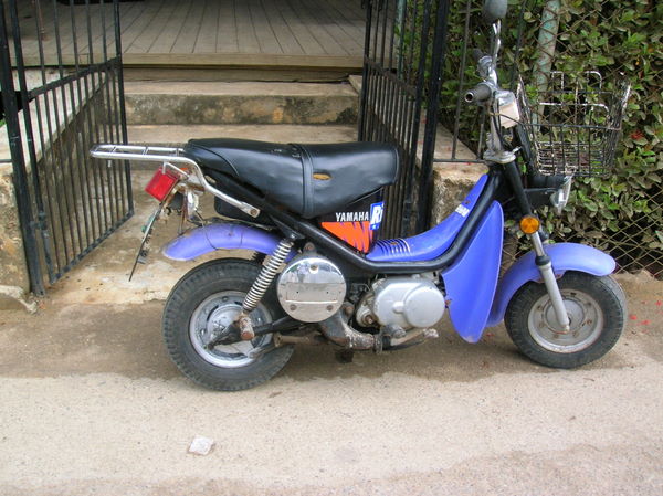 Forum member supplied image with no explanatory text