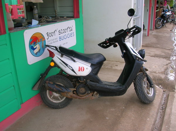 Forum member supplied image with no explanatory text