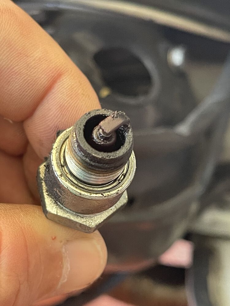 Forum member supplied image with no explanatory text