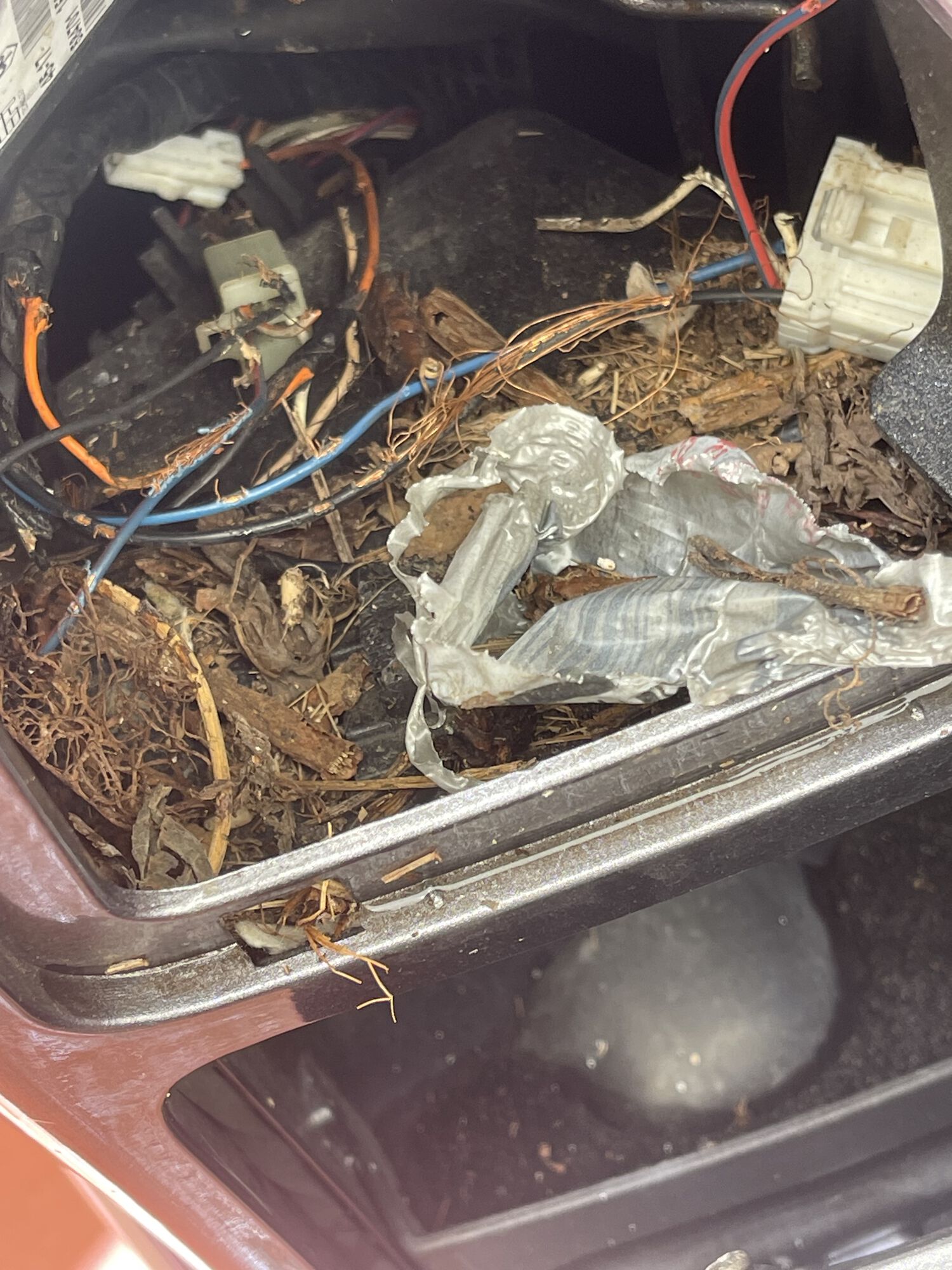 Forum member supplied image with no explanatory text