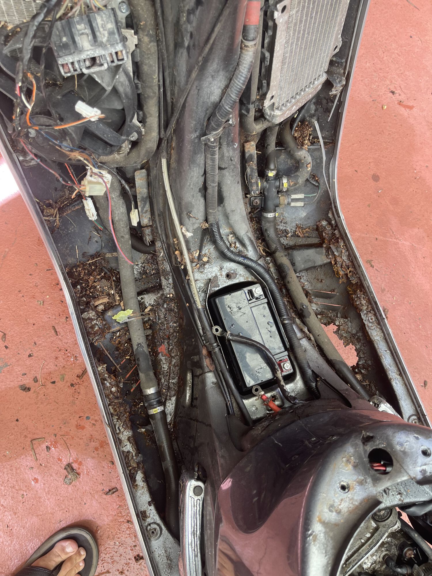 Forum member supplied image with no explanatory text