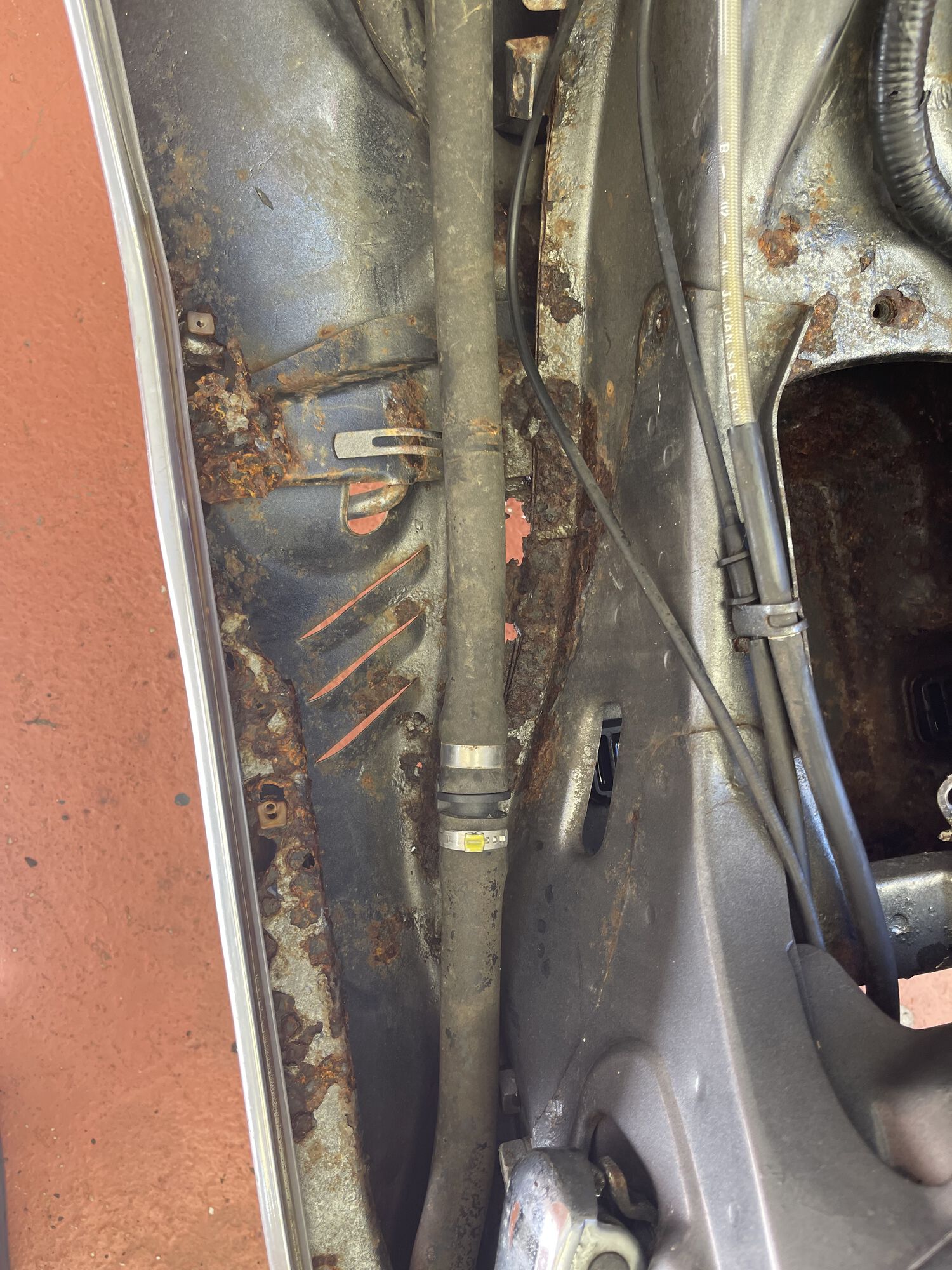Forum member supplied image with no explanatory text