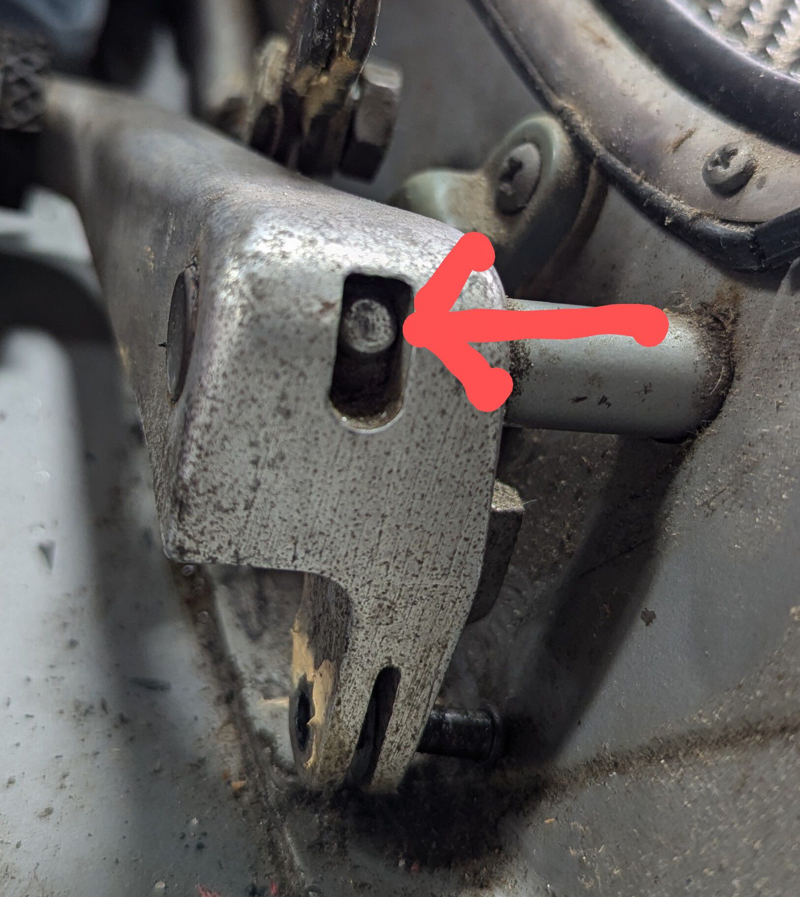 Forum member supplied image with no explanatory text