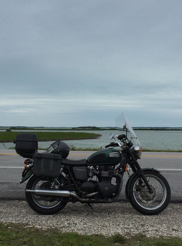 Forum member supplied image with no explanatory text