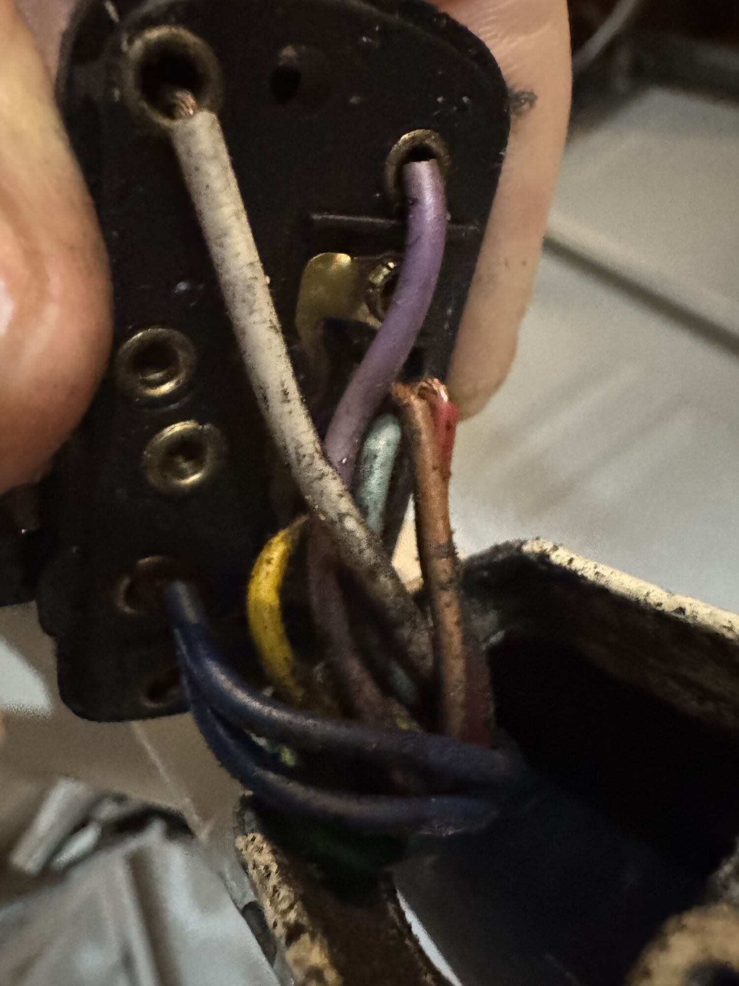 Forum member supplied image with no explanatory text