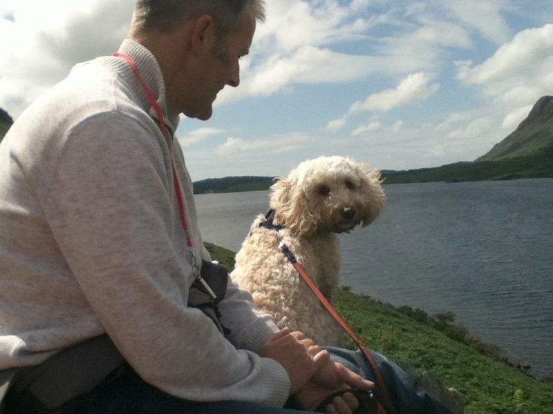 Forum member supplied image with no explanatory text