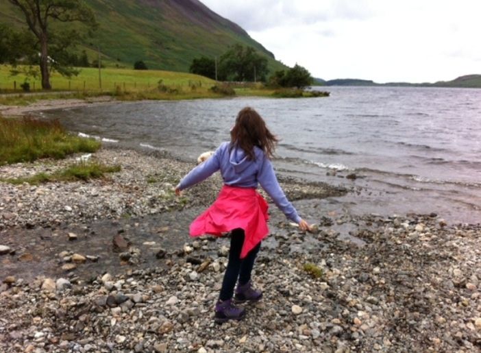 Forum member supplied image with no explanatory text