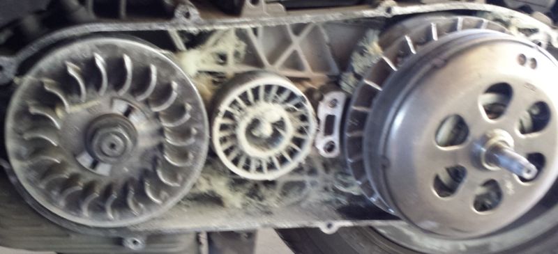 Whole inside of trans casing.  Sorry for the fuzzyness...