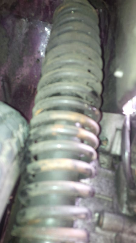 Forum member supplied image with no explanatory text