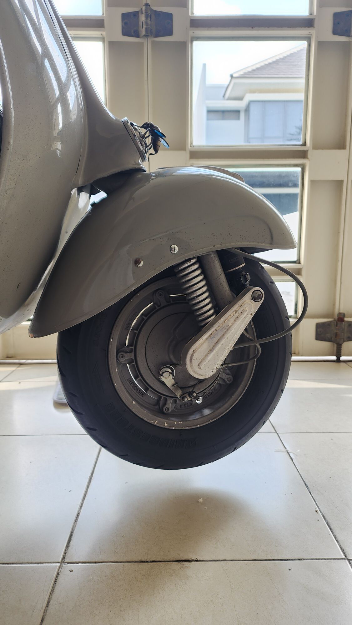 Forum member supplied image with no explanatory text