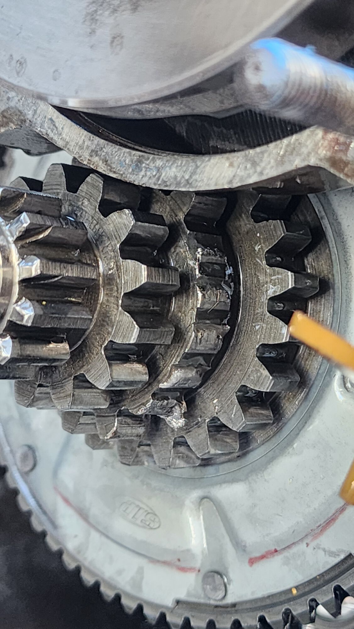 Forum member supplied image with no explanatory text
