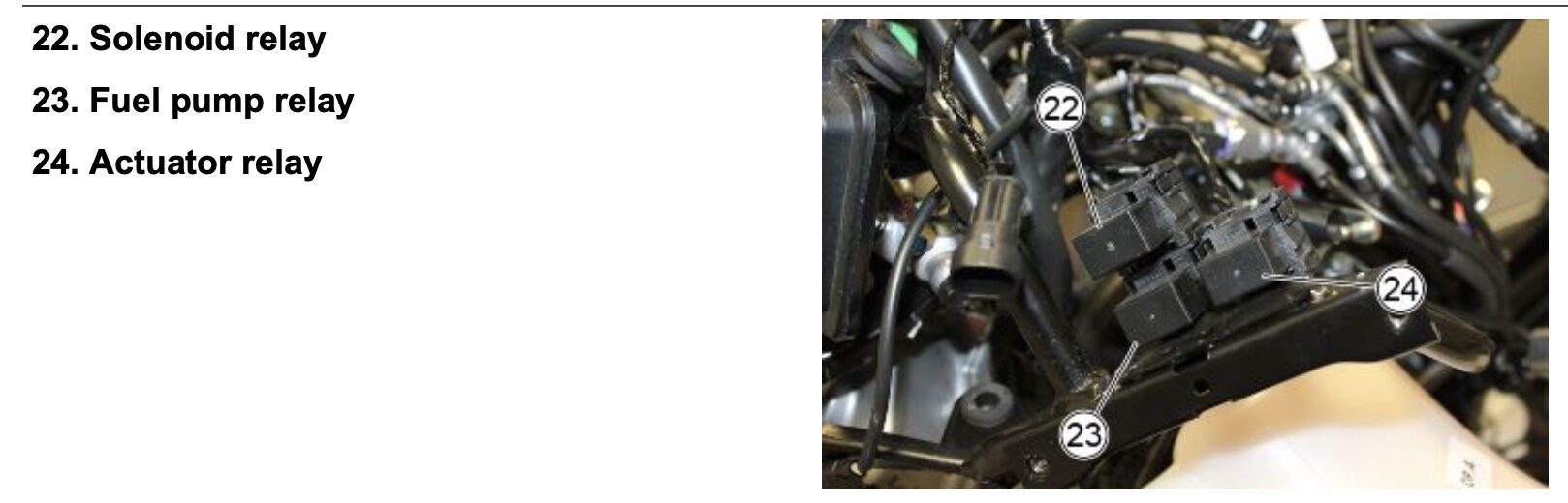 Relays 2021 US version