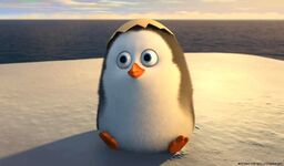 @das_veepa_guy avatar
