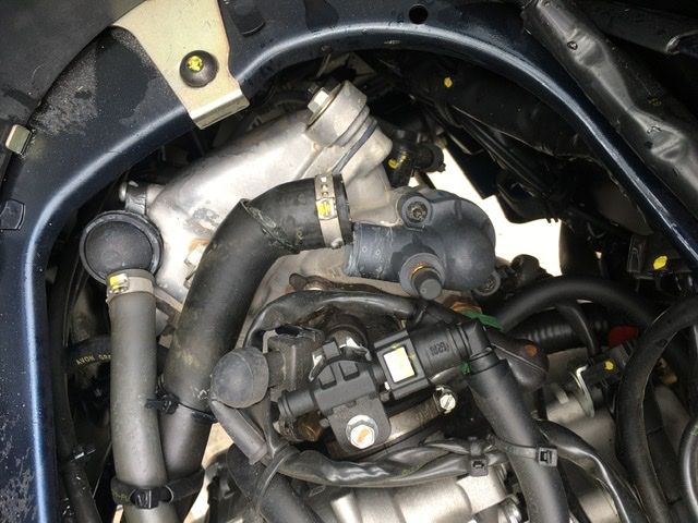Forum member supplied image with no explanatory text