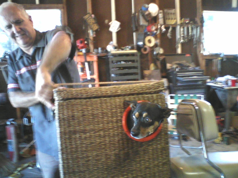 Getting Hooglie ready for the ride!