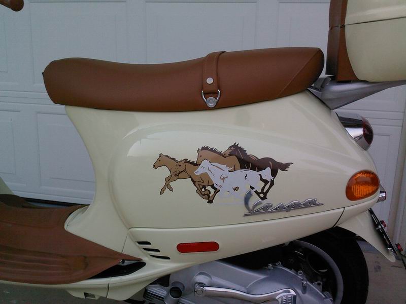 Forum member supplied image with no explanatory text