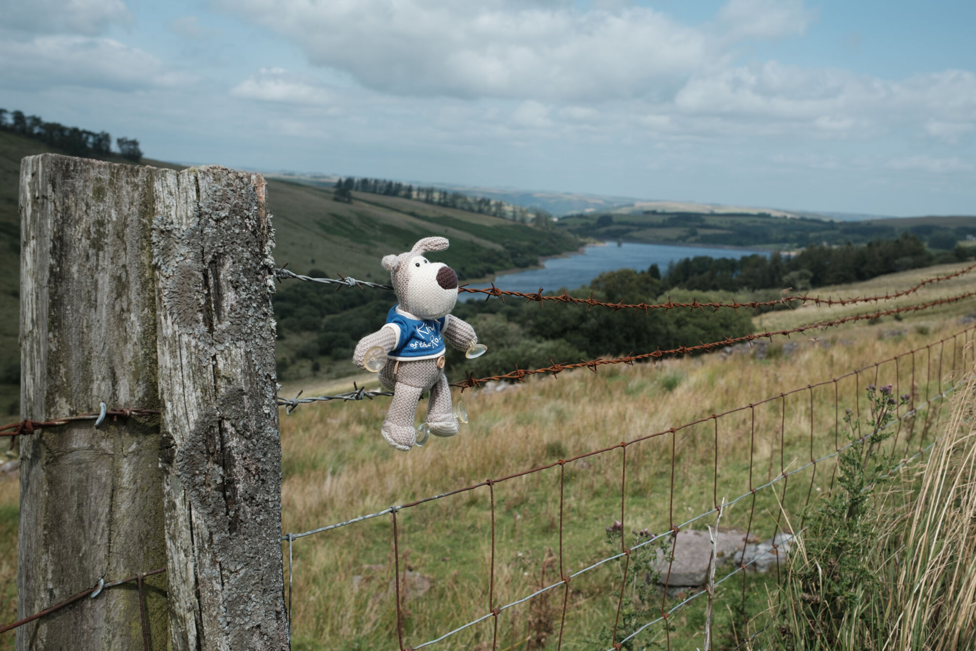 Forum member supplied image with no explanatory text