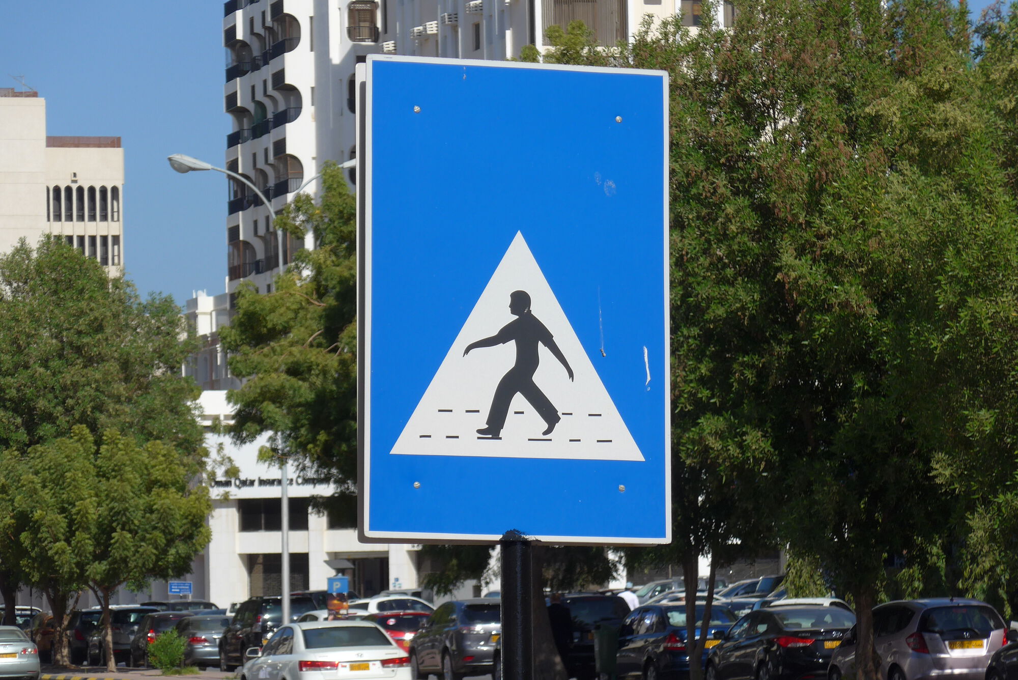 Dude crossing
