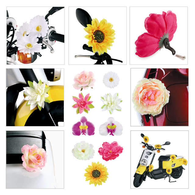 Forum member supplied image with no explanatory text