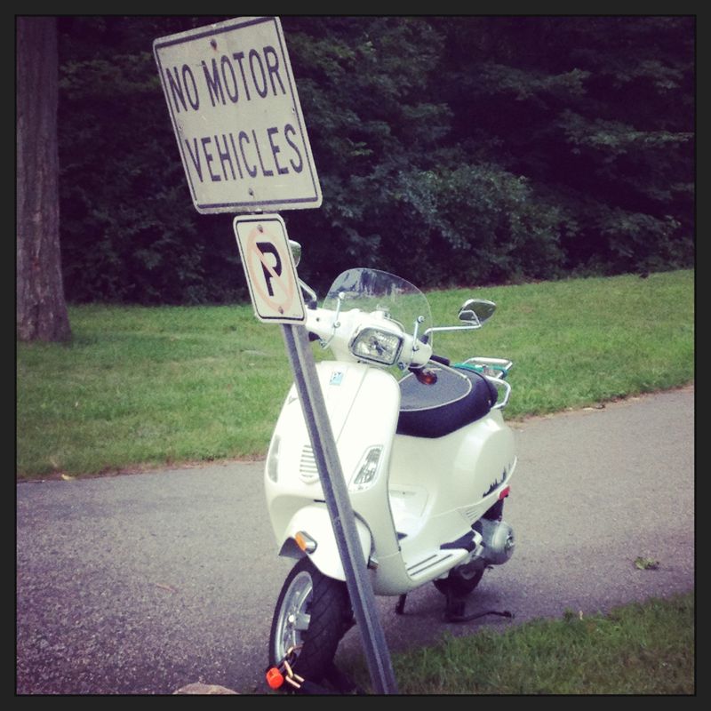 Forum member supplied image with no explanatory text