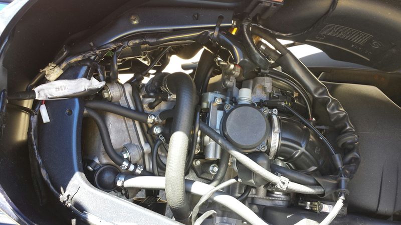 Forum member supplied image with no explanatory text